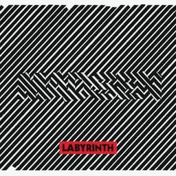 Labyrinth cover art