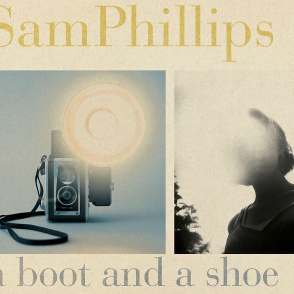A Boot and a Shoe cover