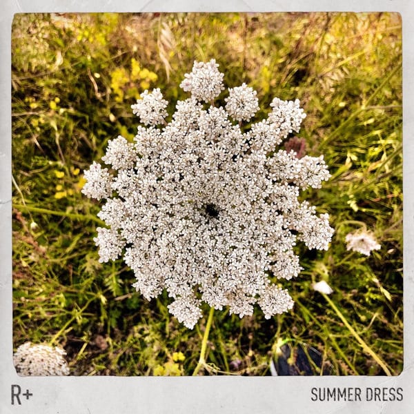 Summer Dress cover