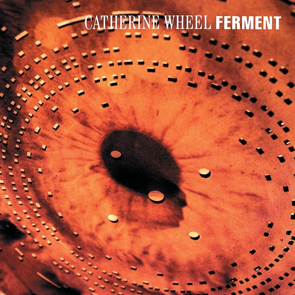 Ferment cover