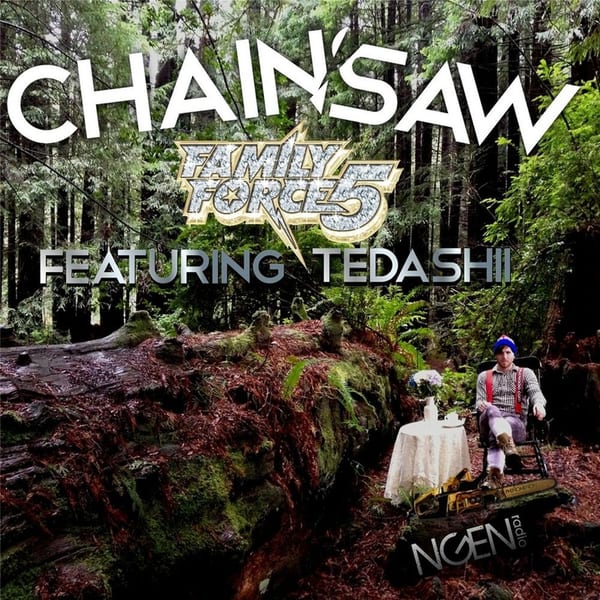 Chainsaw cover