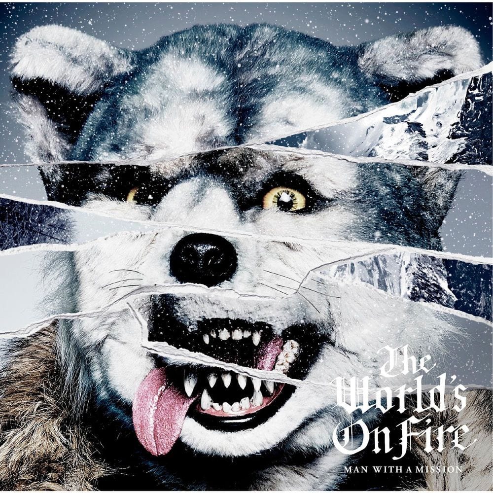 The World's On Fire cover
