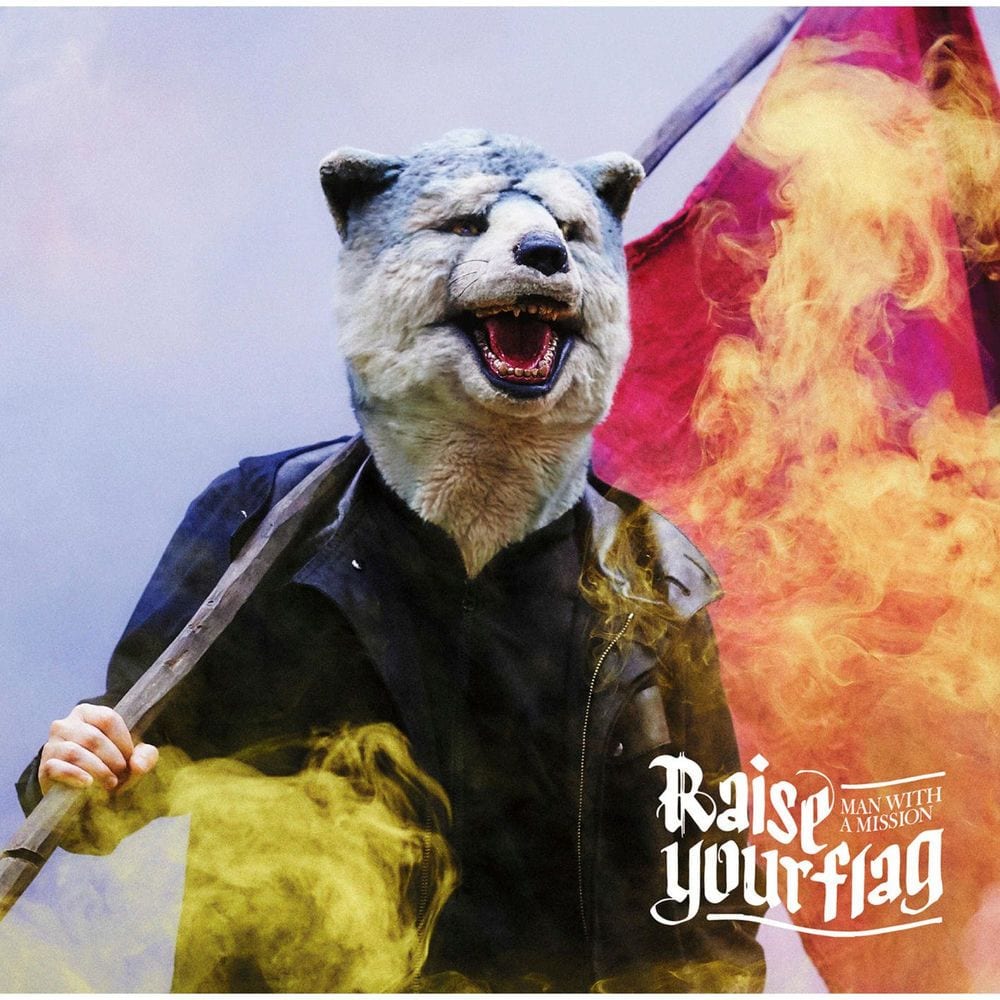 Raise your flag cover