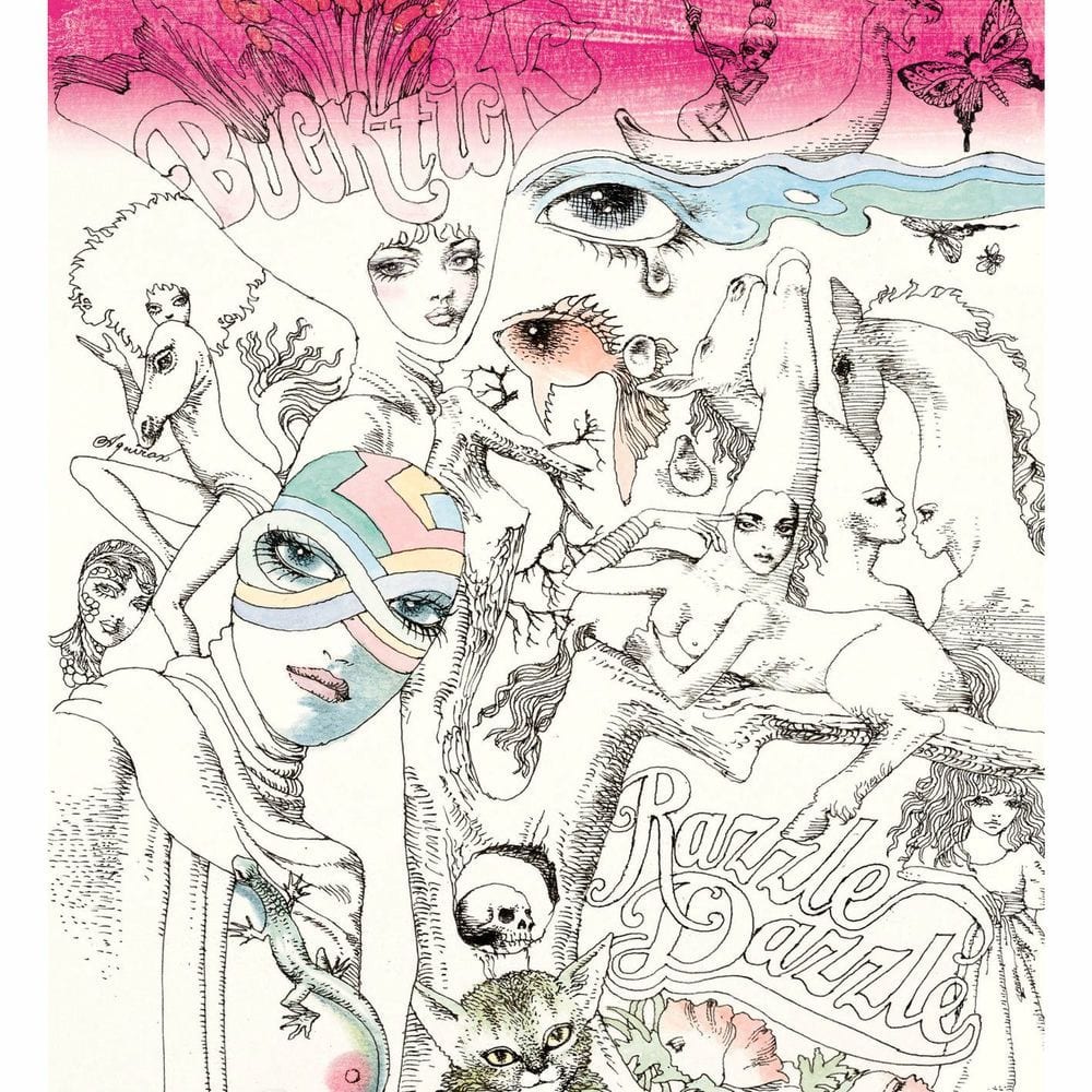 Razzle Dazzle cover