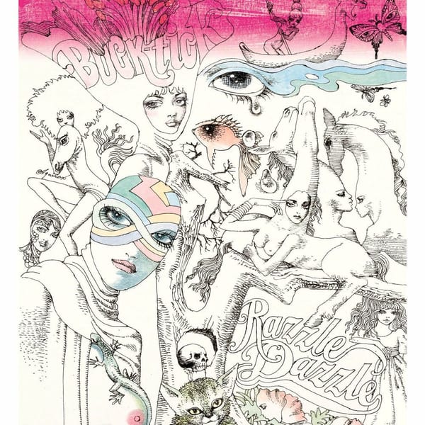 Razzle Dazzle cover