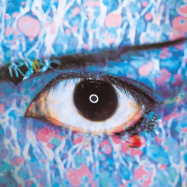 TABOO cover