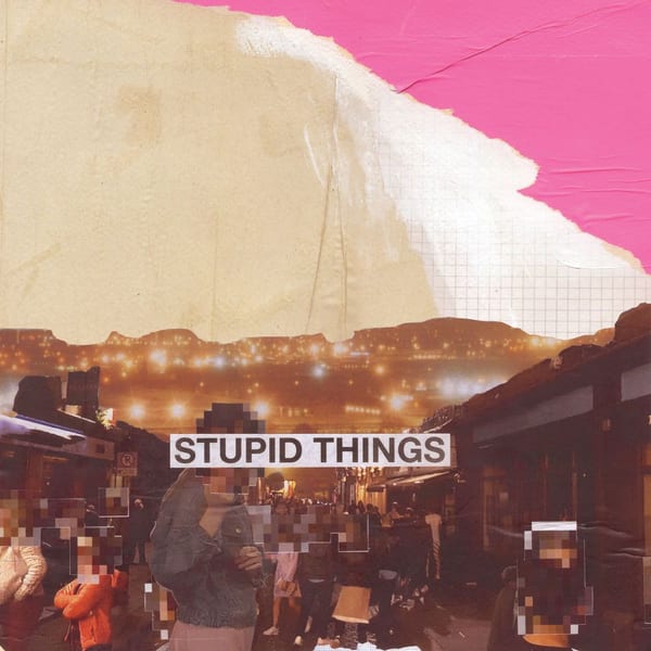 Stupid Things cover