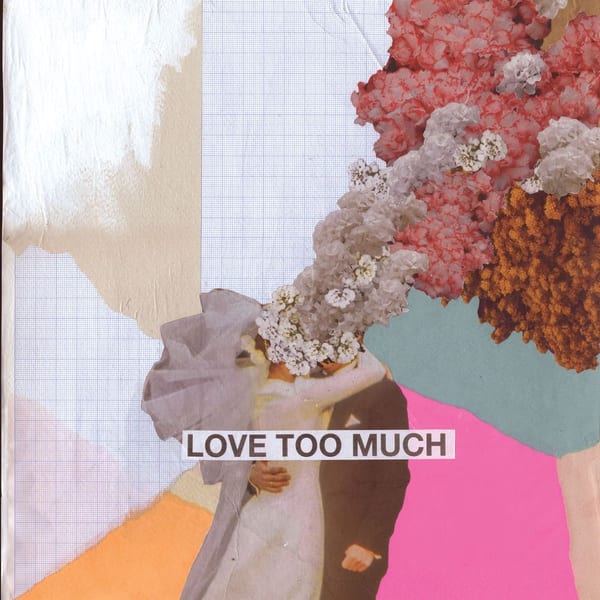 Love Too Much cover