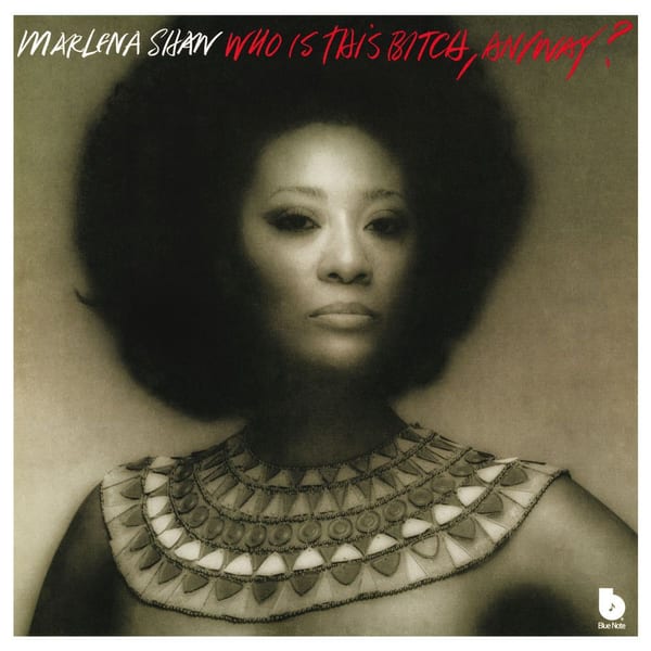 Who Is This Bitch, Anyway? cover