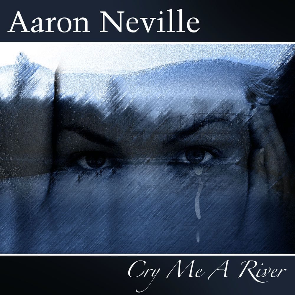 Cry Me A River cover