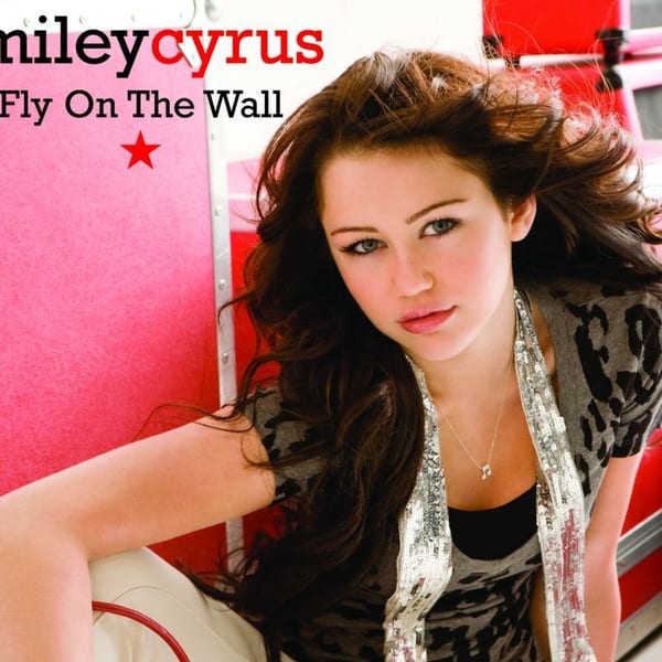 Fly On The Wall cover