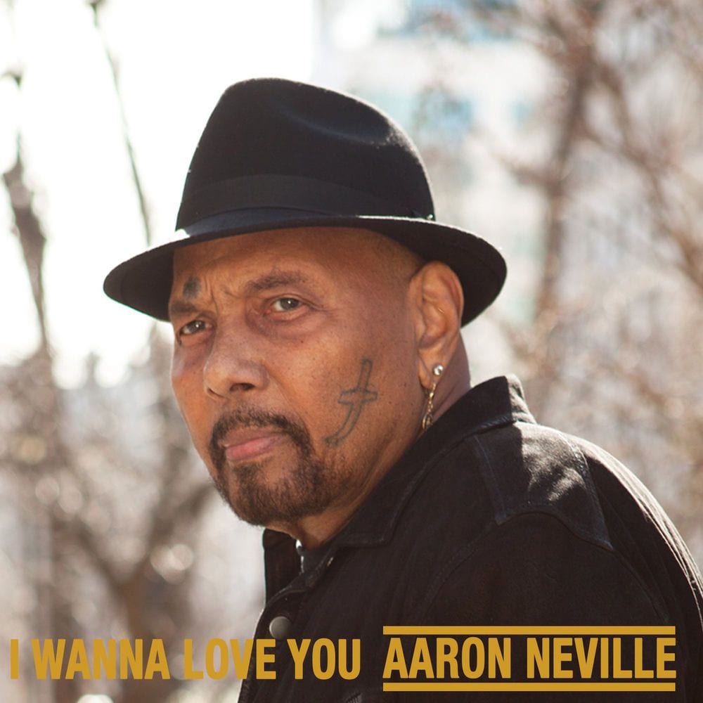 I Wanna Love You cover