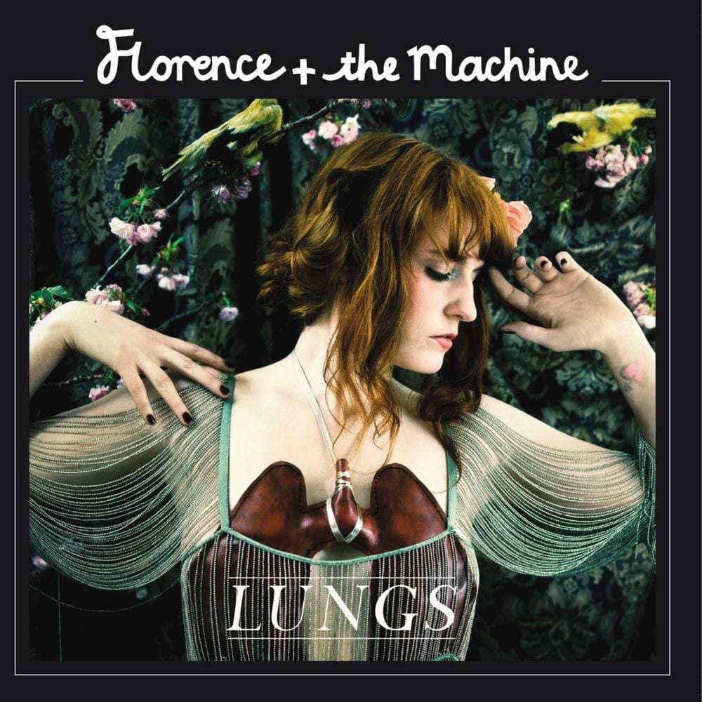 Lungs cover
