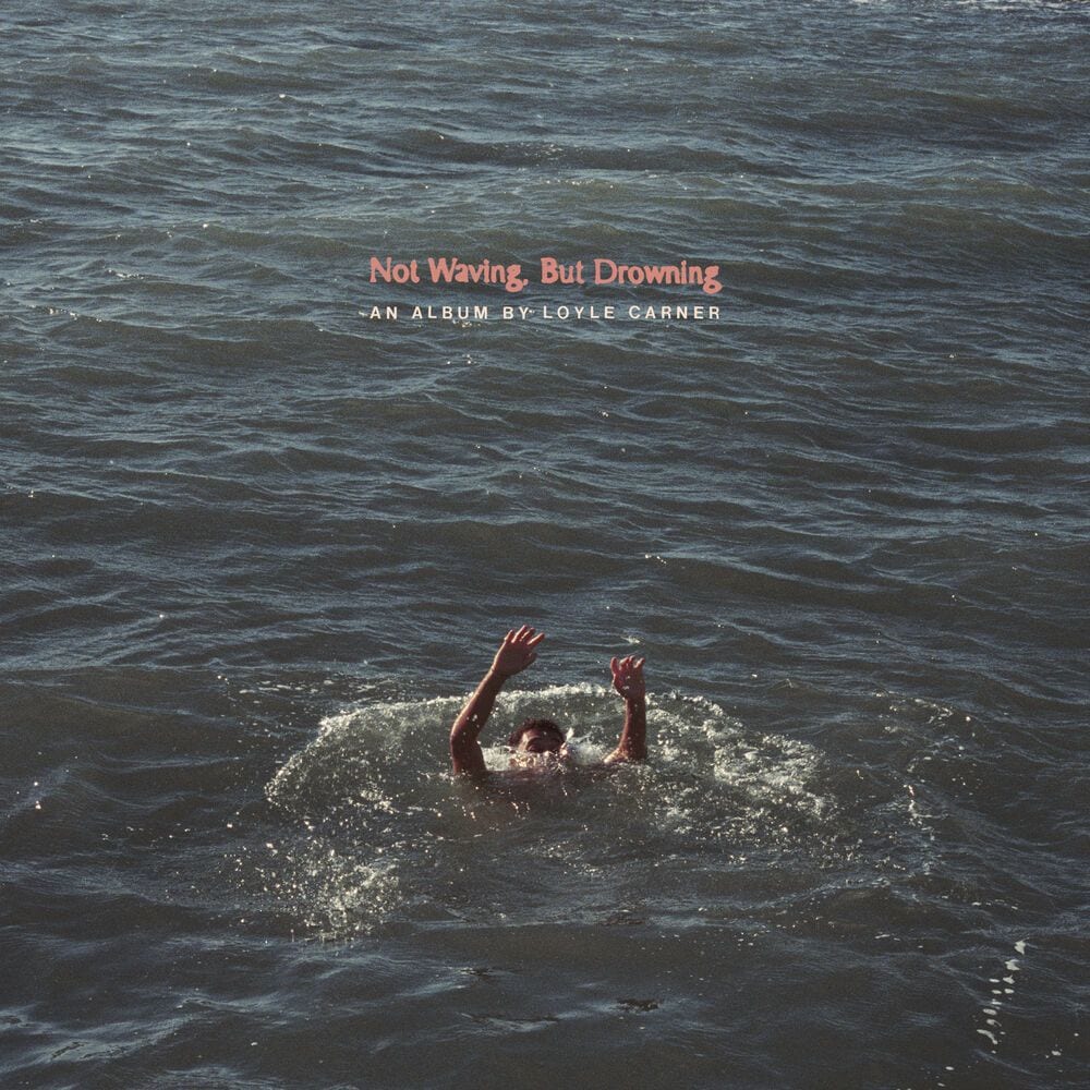 Not Waving, but Drowning cover