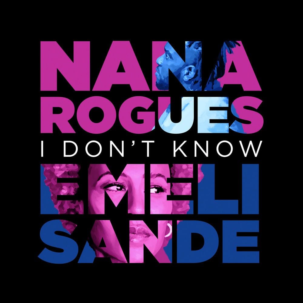 I Don't Know cover