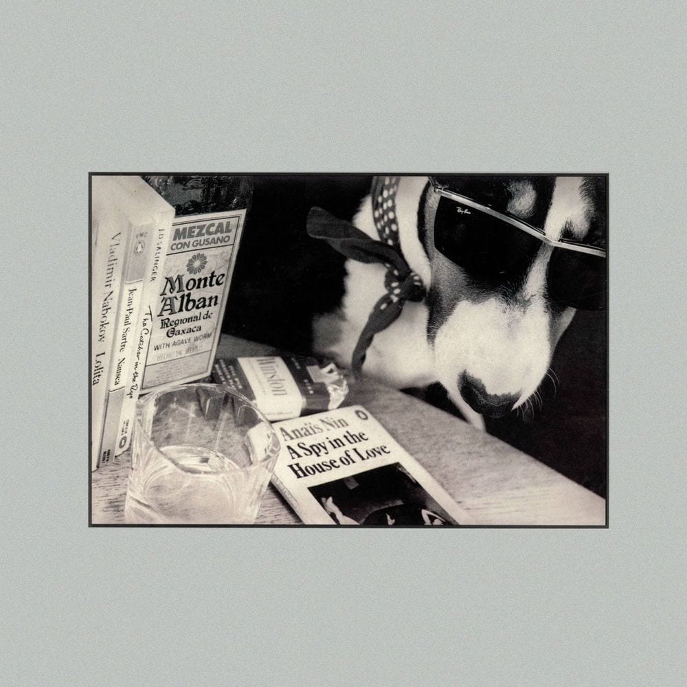 A Spy in the House of Love cover