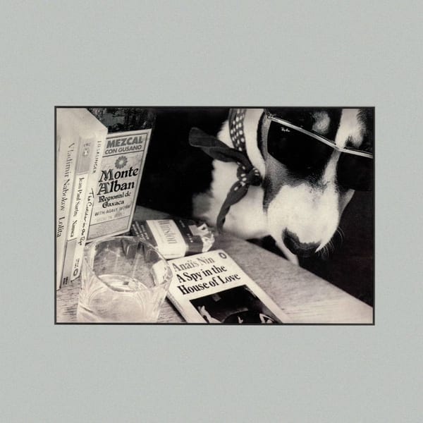 A Spy in the House of Love cover