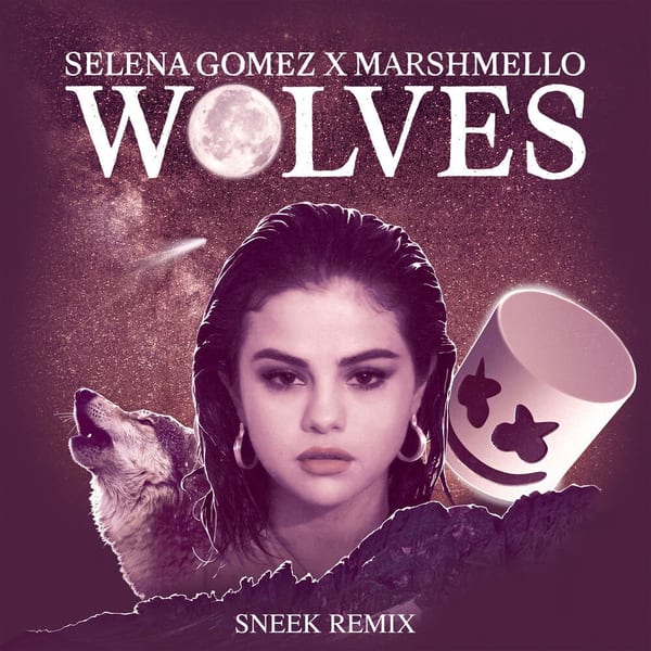 Wolves (Sneek Remix) cover