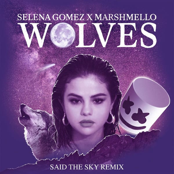 Wolves (Said The Sky Remix) cover