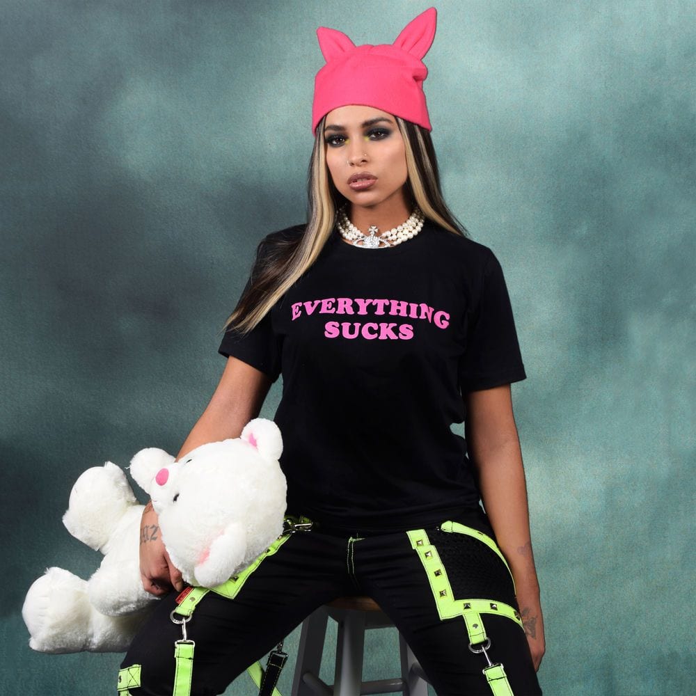 Everything Sucks cover