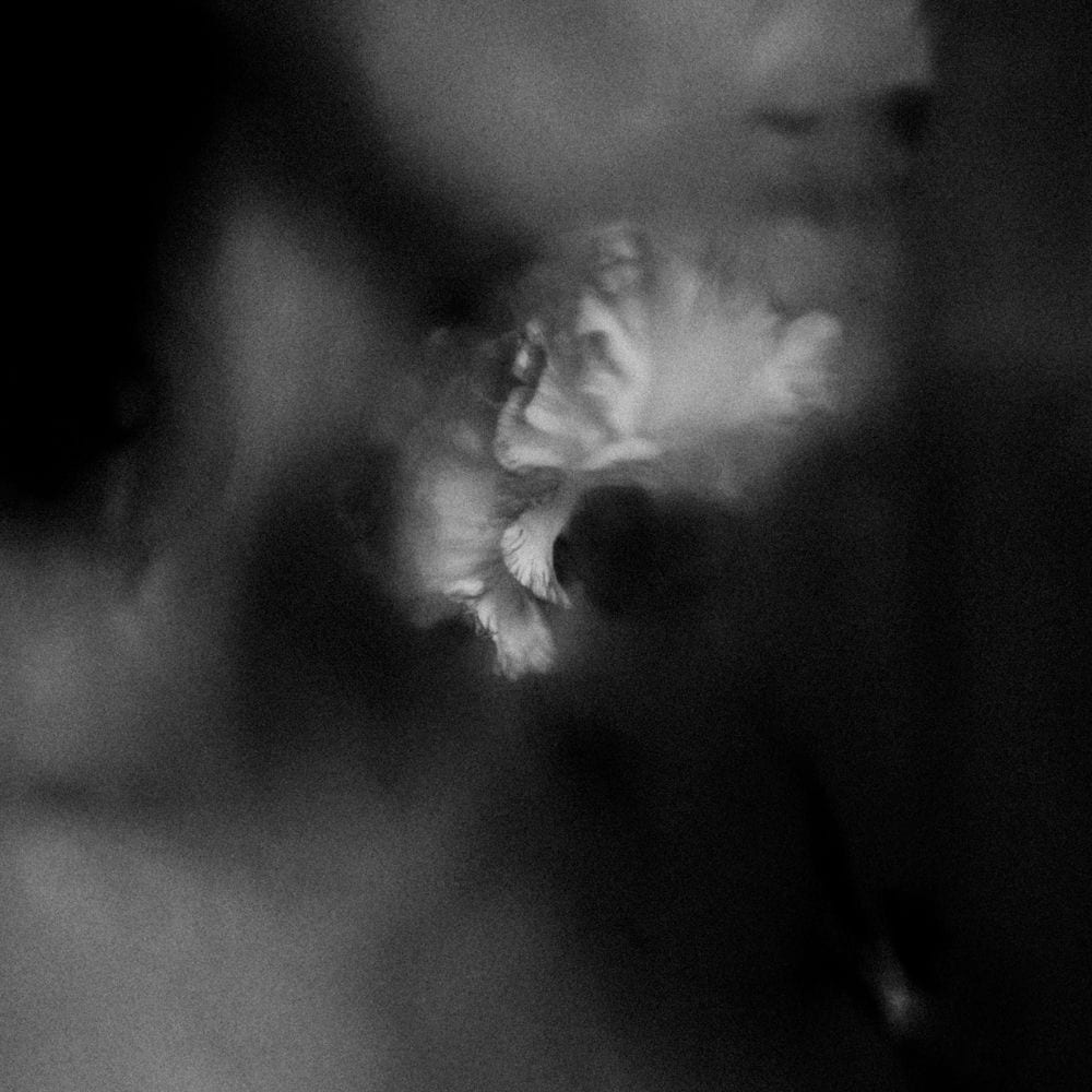 Holding Absence cover