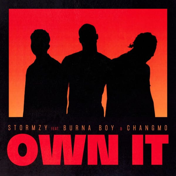 Own It (feat. Burna Boy & CHANGMO) album cover