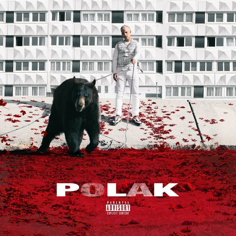 Polak cover
