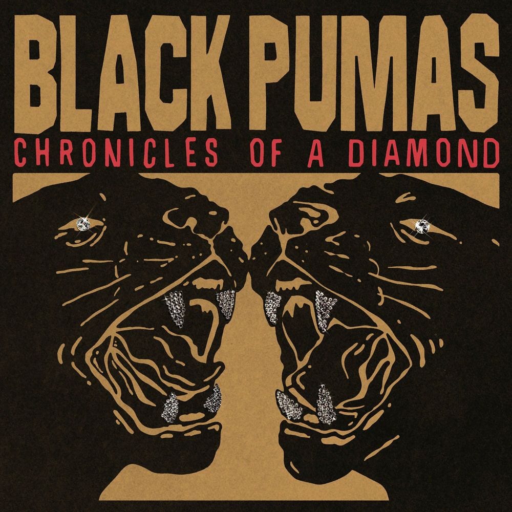 Chronicles of a Diamond cover