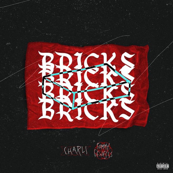 Bricks cover