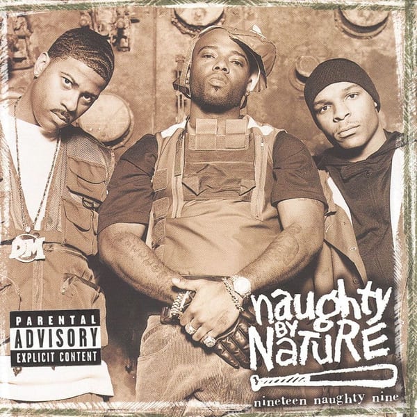 Nineteen Naughty Nine: Nature's Fury cover