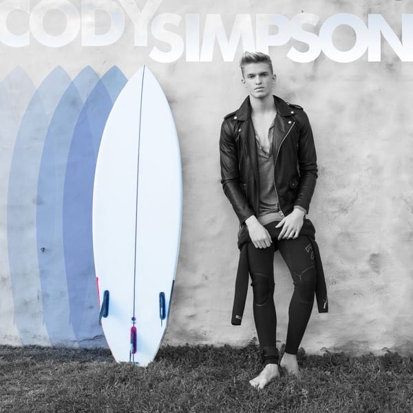 Surfboard cover