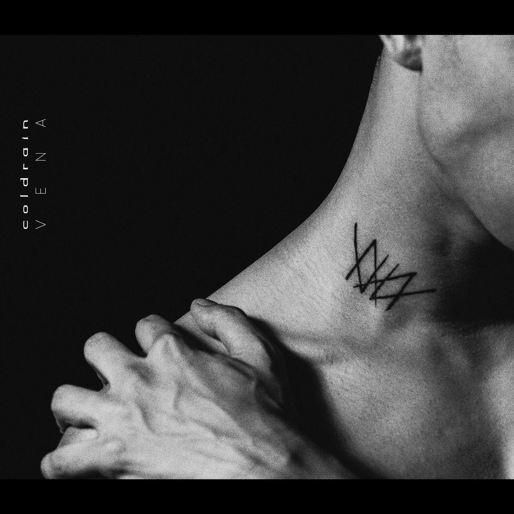 VENA cover