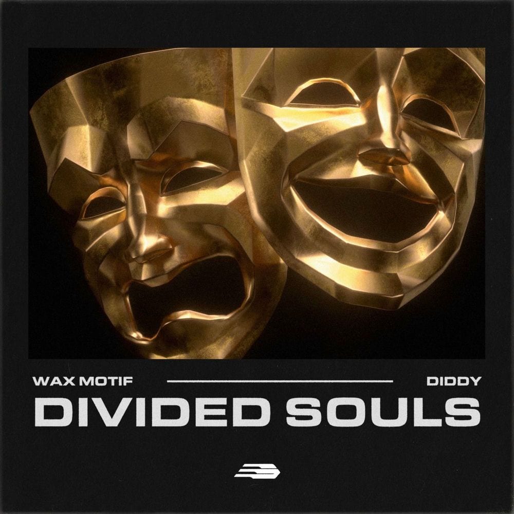 Divided Souls cover