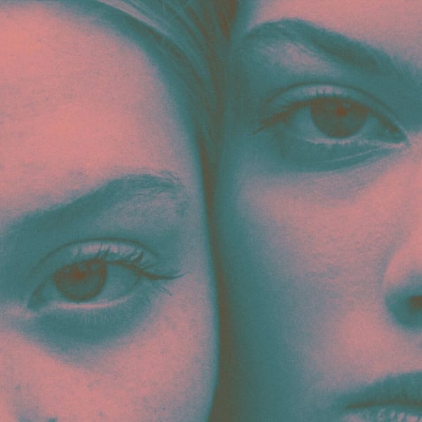 Wild Stare cover