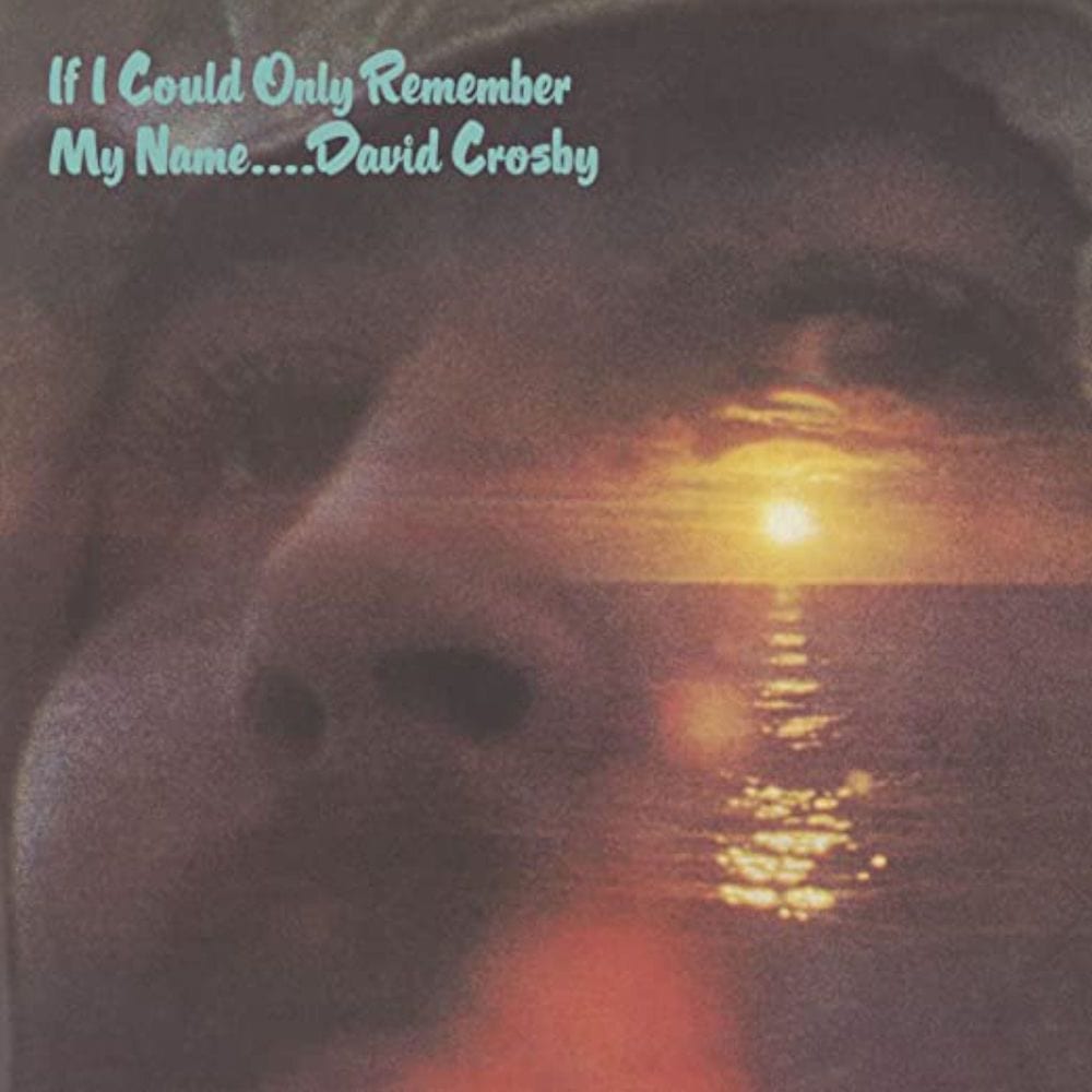 If I Could Only Remember My Name cover