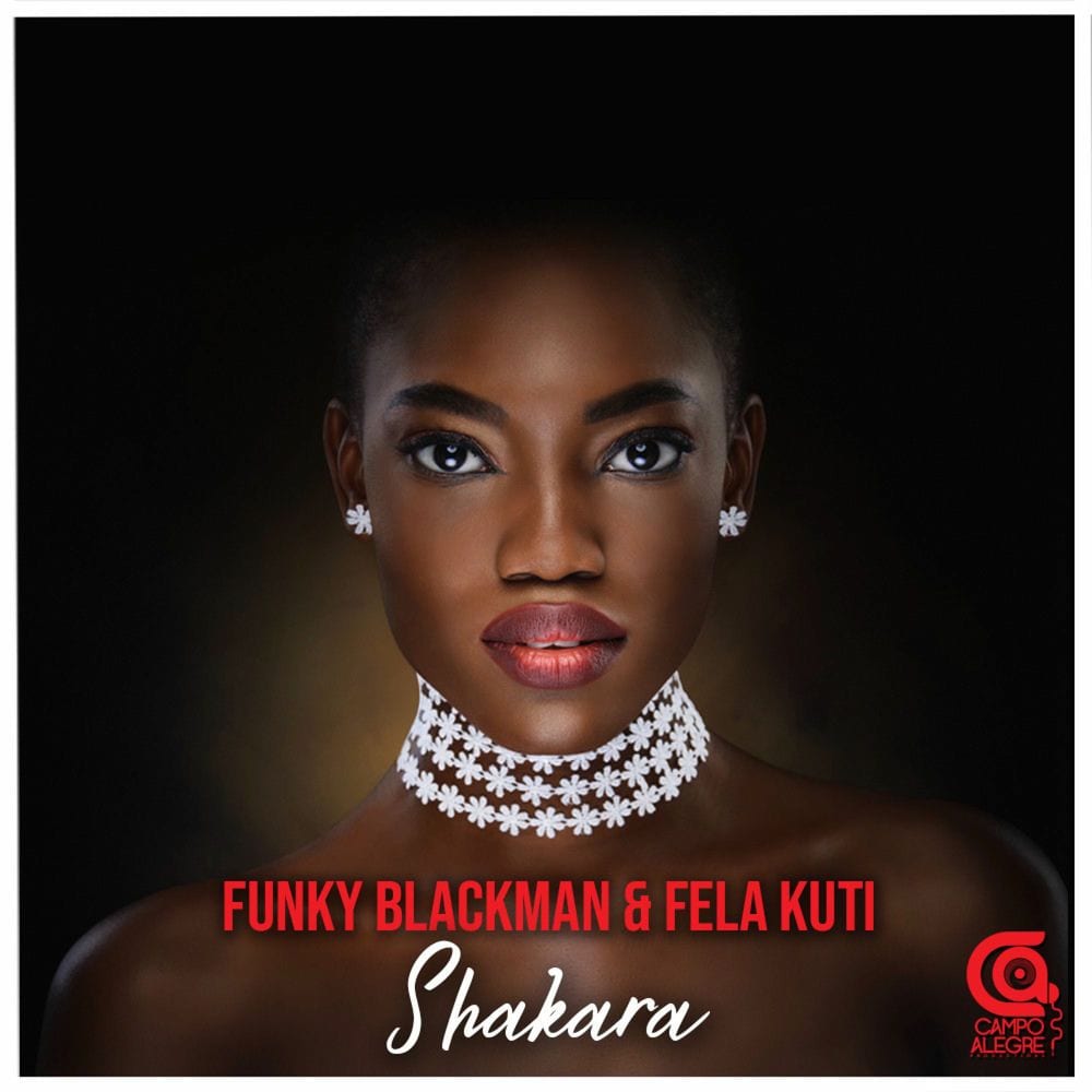 Shakara artwork