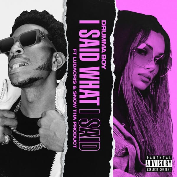I Said What I Said album cover