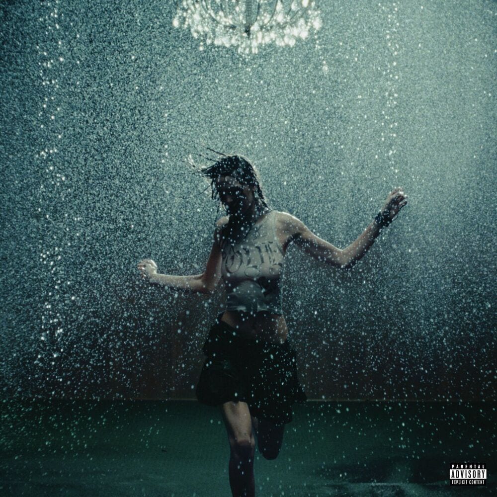 F*CK SWAG cover