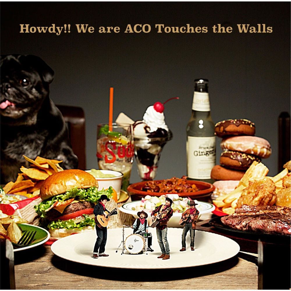Howdy!! We are ACO Touches the Walls cover