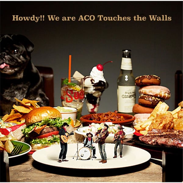 Howdy!! We are ACO Touches the Walls cover