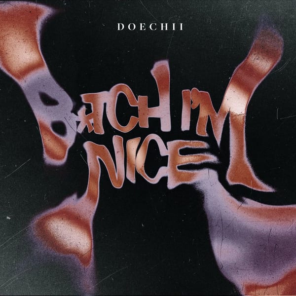 B*tch I'm Nice cover