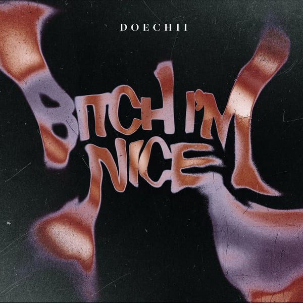 Bitch I'm Nice cover