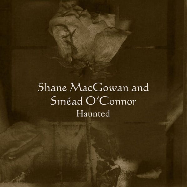 Haunted cover
