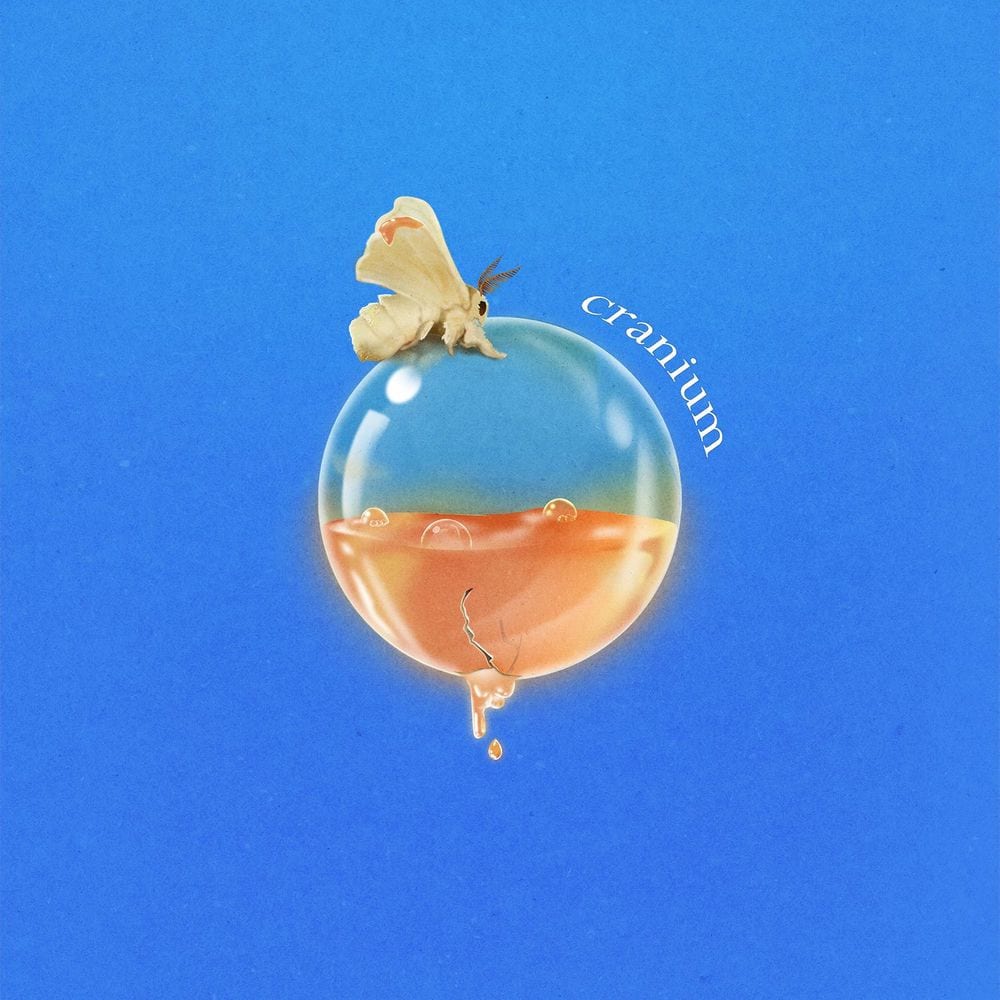 Cranium cover