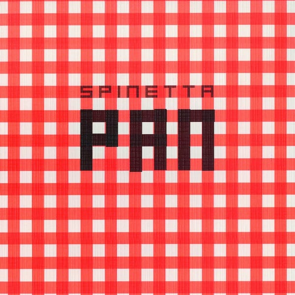 Pan cover