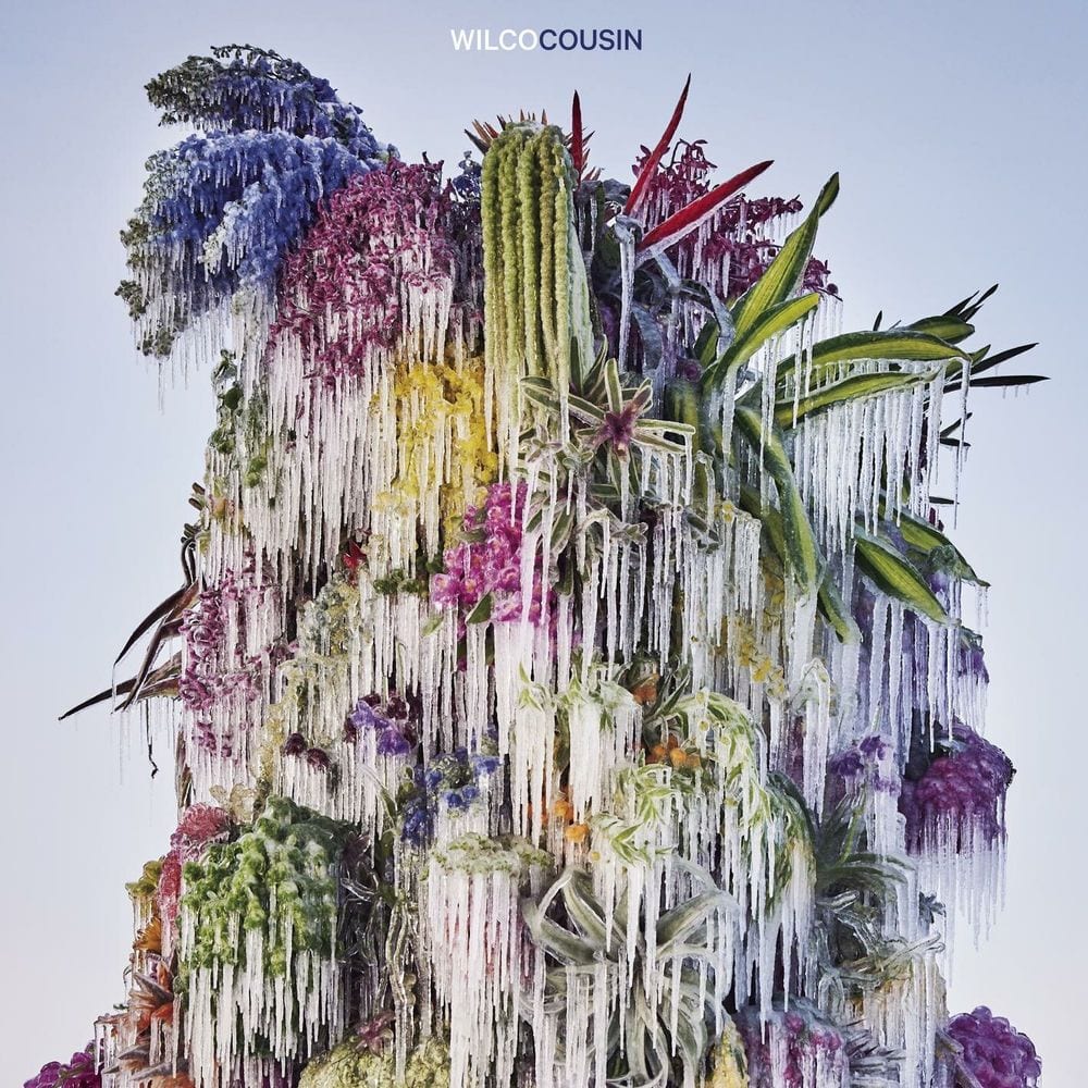 Cousin cover