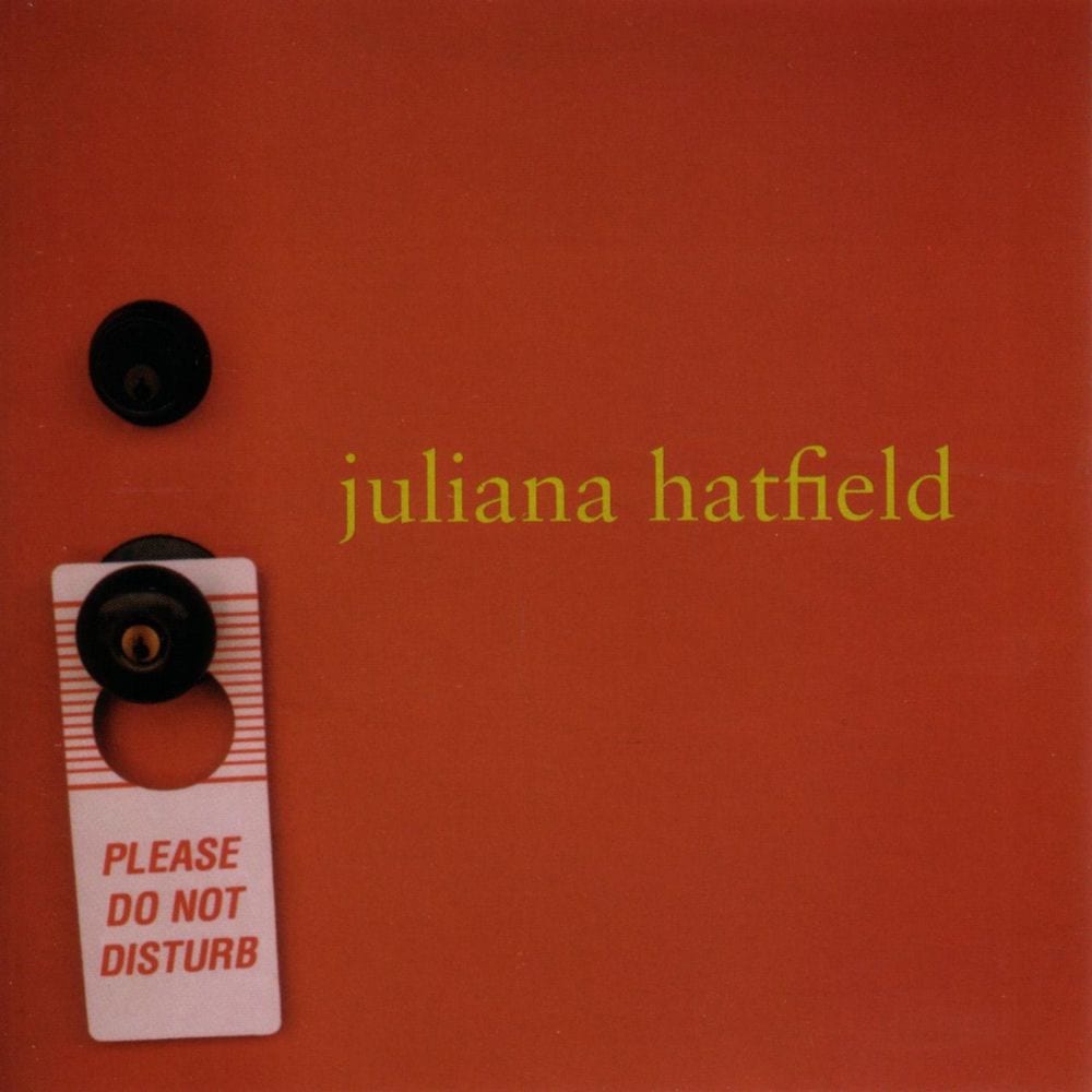 Please Do Not Disturb cover