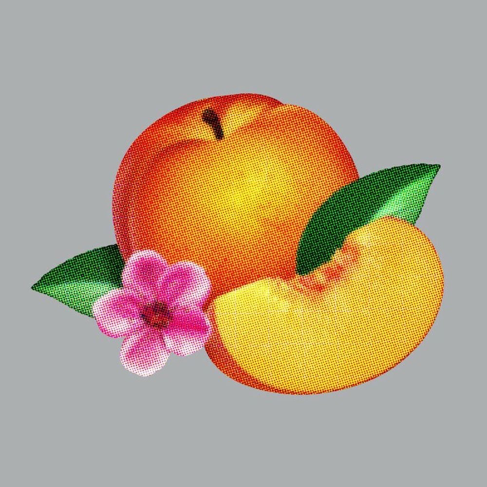Bankrupt! cover
