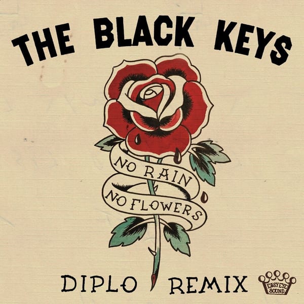 No Rain, No Flowers (Diplo Remix) cover