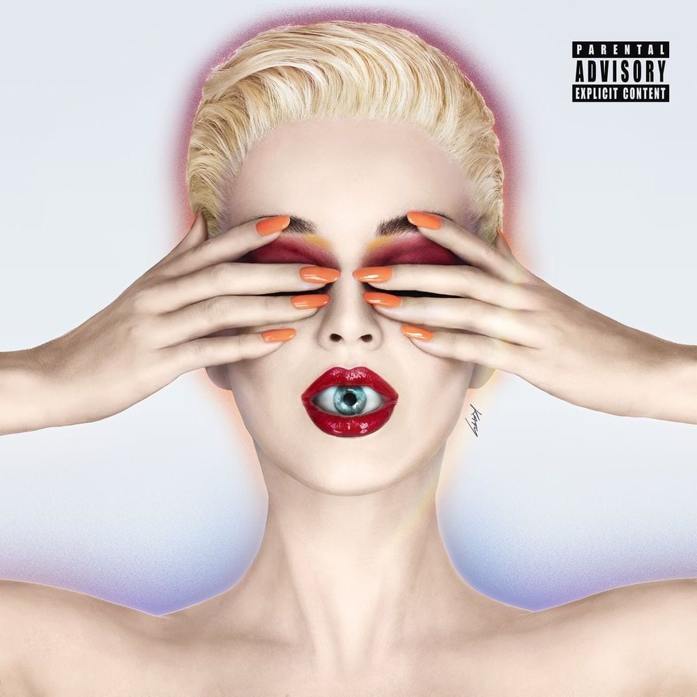 Witness cover